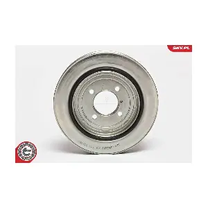 95SKV311 ESEN SKV