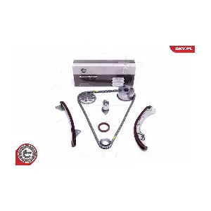 21SKV215 ESEN SKV