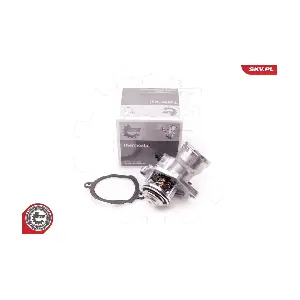 20SKV060 ESEN SKV