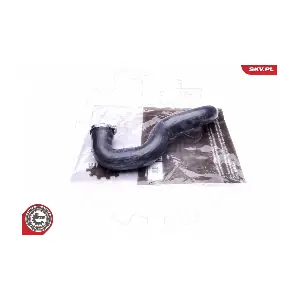 43SKV116 ESEN SKV