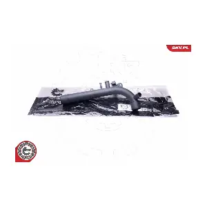 43SKV786 ESEN SKV