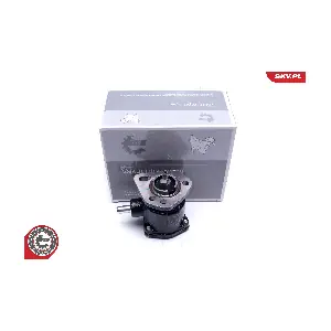 18SKV058 ESEN SKV