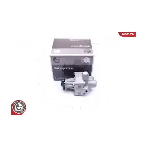 10SKV245 ESEN SKV