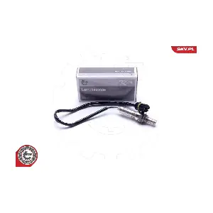 09SKV121 ESEN SKV