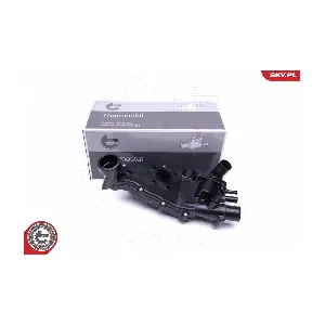 20SKV113 ESEN SKV