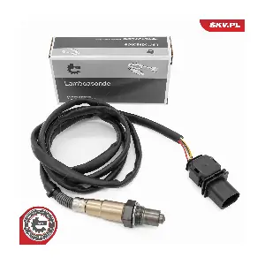 09SKV204 ESEN SKV