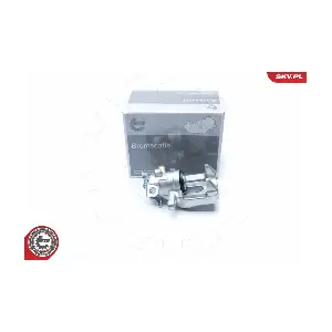 23SKV313 ESEN SKV