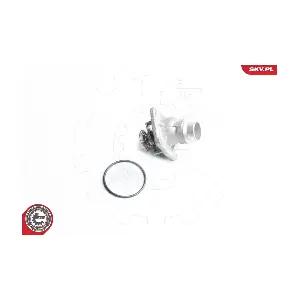 20SKV033 ESEN SKV
