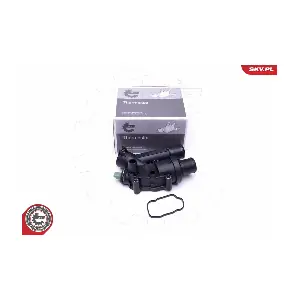 20SKV118 ESEN SKV