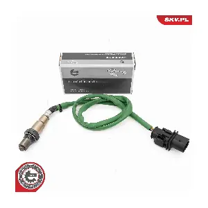 09SKV207 ESEN SKV