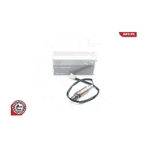 09SKV661 ESEN SKV