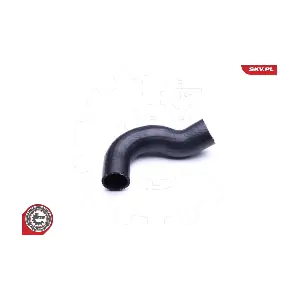 24SKV919 ESEN SKV