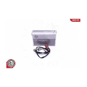 30SKV316 ESEN SKV