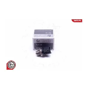 17SKV619 ESEN SKV