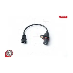 17SKV303 ESEN SKV