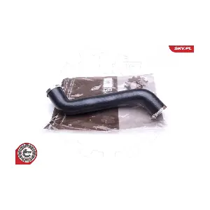 24SKV979 ESEN SKV