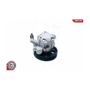 10SKV073 ESEN SKV