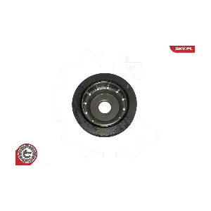 95SKV323 ESEN SKV
