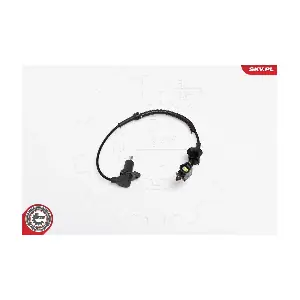06SKV165 ESEN SKV