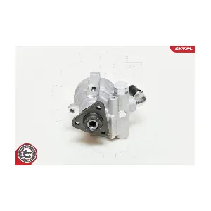 10SKV061 ESEN SKV