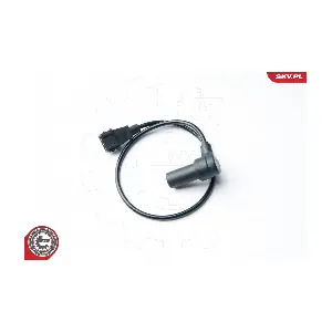 17SKV285 ESEN SKV