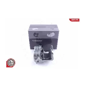 50SKV852 ESEN SKV