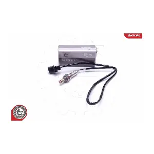 09SKV438 ESEN SKV