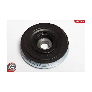 95SKV307 ESEN SKV