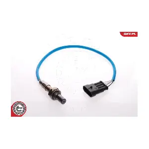 09SKV059 ESEN SKV