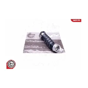 24SKV984 ESEN SKV