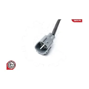 09SKV113 ESEN SKV