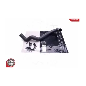 24SKV294 ESEN SKV