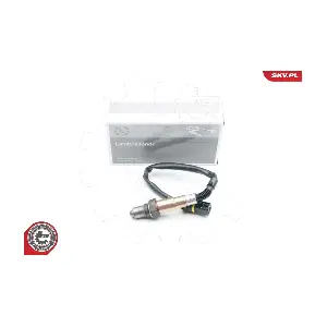 09SKV619 ESEN SKV