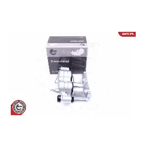 42SKV881 ESEN SKV