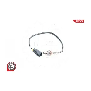 09SKV096 ESEN SKV
