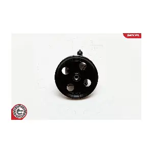 10SKV177 ESEN SKV
