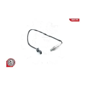 09SKV728 ESEN SKV