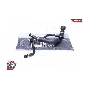 24SKV258 ESEN SKV