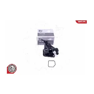 20SKV089 ESEN SKV