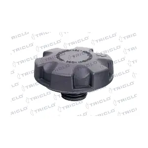 313066 TRICLO