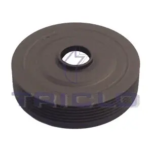 425145 TRICLO
