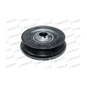 425165 TRICLO