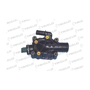 461428 TRICLO