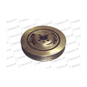 424083 TRICLO
