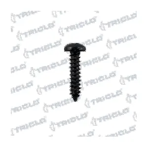 161509 TRICLO