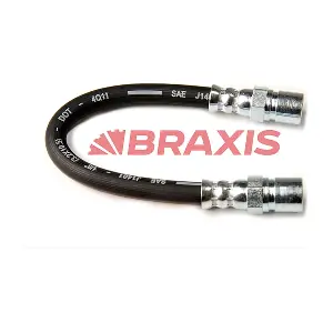 AH0388 BRAXIS