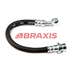AH0310 BRAXIS