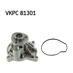 VKPC81301 SKF
