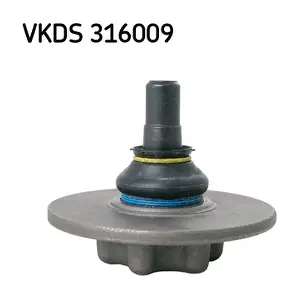 VKDS316009 SKF