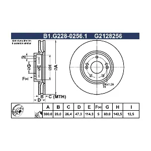 B1.G228-0256.1 GALFER